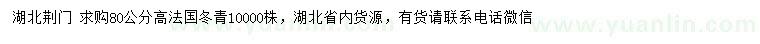 求购高80公分法国冬青