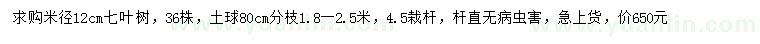 求购米径12公分七叶树