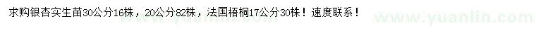 求购20、30公分银杏实生苗、17公分法国梧桐