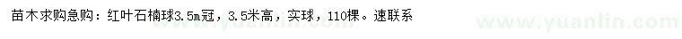 求购冠幅3.5米红叶石楠球