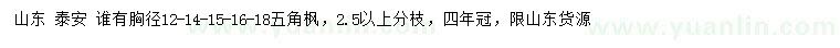 求购胸径12、14、15、16、18公分五角枫