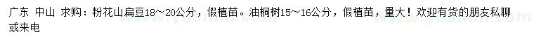 求购18-20公分粉花山扁豆、15-16公分油桐