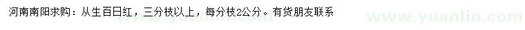 求购从生百日红