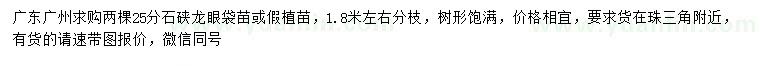 求购25分石硖龙眼袋苗、假植苗