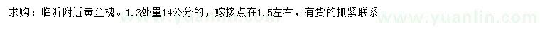 求购1.3米处量14公分黄金槐