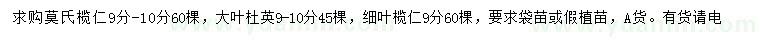 求购莫氏榄仁、大叶杜英、细叶榄仁