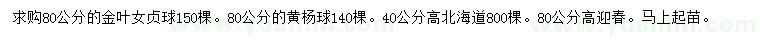 求购金叶女贞球、黄杨球、北海道黄杨等