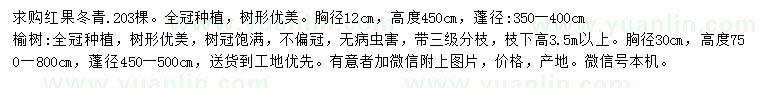 求购胸径12公分红果冬青、胸径30公分榆树