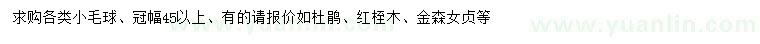 求购杜鹃、红桎木、金森女贞