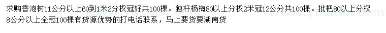 求购香泡、独杆杨梅、枇杷