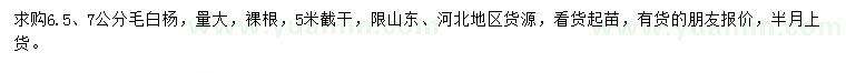 求购6.5、7公分毛白杨