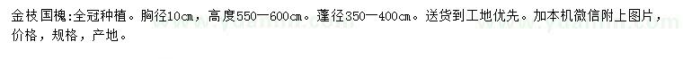 求购胸径10公分金枝国槐