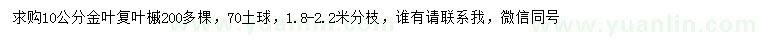 求购10公分金叶复叶槭