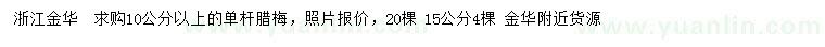 求购10公分以上、15公分单杆腊梅