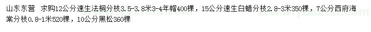 求购速生法桐、速生白蜡、西府海棠等