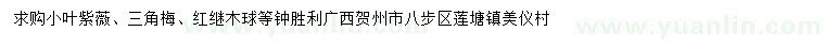 求购小叶紫薇、三角梅、红继木球