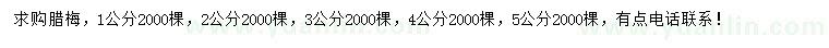 求购1、2、3、4、5公分腊梅