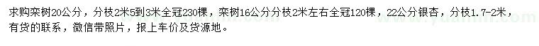 求购16、20公分栾树、22公分银杏