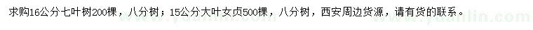 求购16公分七叶树、15公分大叶女贞