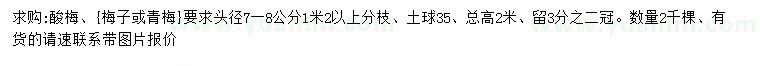 求购头径7-8公分酸梅（梅子、青梅）