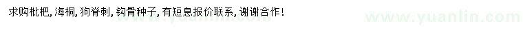 求购枇杷种子、海桐种子、狗脊刺种子等