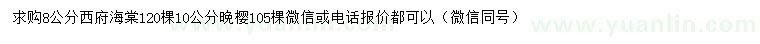 求购8公分西府海棠、10公分晚樱