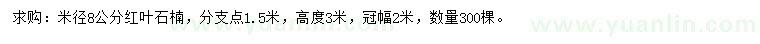 求购米径8公分红叶石楠