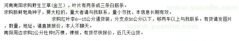 求购野生兰草（金兰）、皂角种子、红叶李等