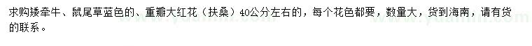 求购矮牵牛、鼠尾草、重瓣大红花