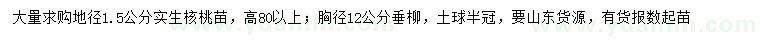 求购地径1.5公分实生核桃苗、胸径12公分垂柳