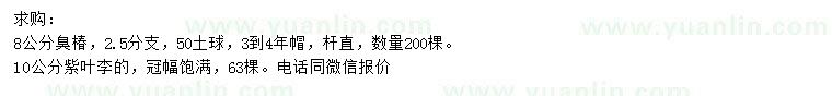 求购8公分臭椿、10公分紫叶李