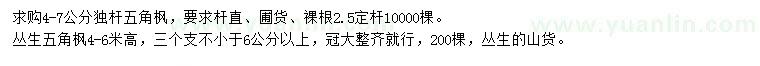 求购独杆、从生五角枫