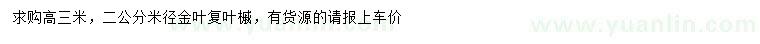 求购高3米金叶复叶槭