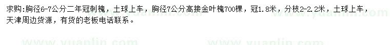 求购胸径6-7公分刺槐、7公分高接金叶槐