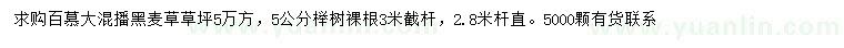 求购百慕大混播黑麦草、5公分榉树