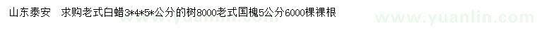 求购3、4、5公分老式白蜡、5公分老式国槐