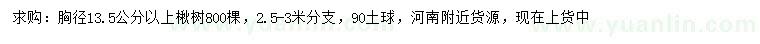 求购胸径13.5公分以上楸树