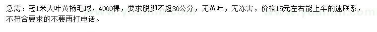 求购冠1米大叶黄杨毛球