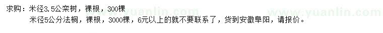 求购米径3.5公栾树、5公分法桐