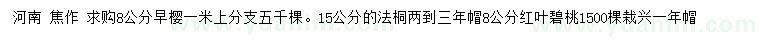 求购早樱、法桐、红叶碧桃