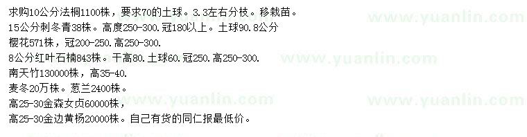 求购法桐、刺冬青、樱花等