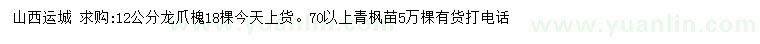 求购12公分龙爪槐、70公分以上青枫苗