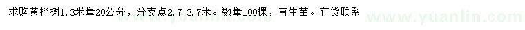 求购1.3米量20公分黄榉树