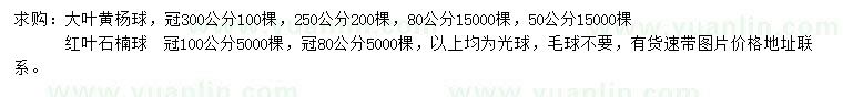 求购冠50、80、2.5、3米大叶黄杨球、80、100红叶石楠球