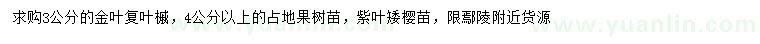 求购3公分金叶复叶槭、4公分以上紫叶矮樱苗