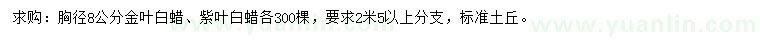 求购胸径8公分金叶白蜡、紫叶白蜡