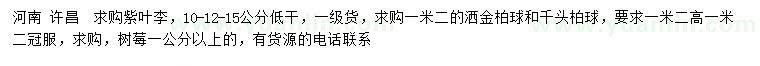 求购紫叶李、洒金柏球、千头柏球