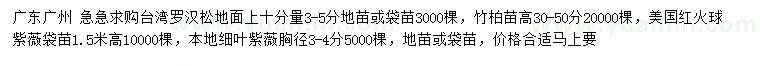 求购台湾罗汉松、美国红火球紫薇、细叶紫薇