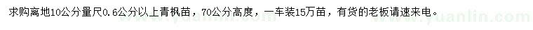 求购离地10公分量尺0.6公分以上青枫苗