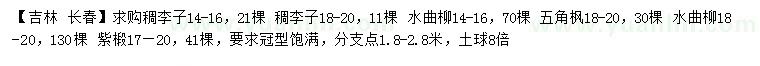 求购稠李子、水典柳、五角枫等